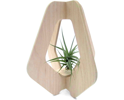 Nia_Craft_Air_Plant_Holder